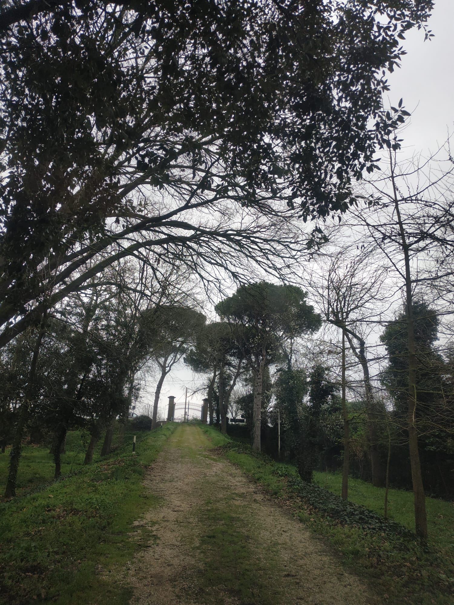 Rustico / Casale in Vendita Ravenna