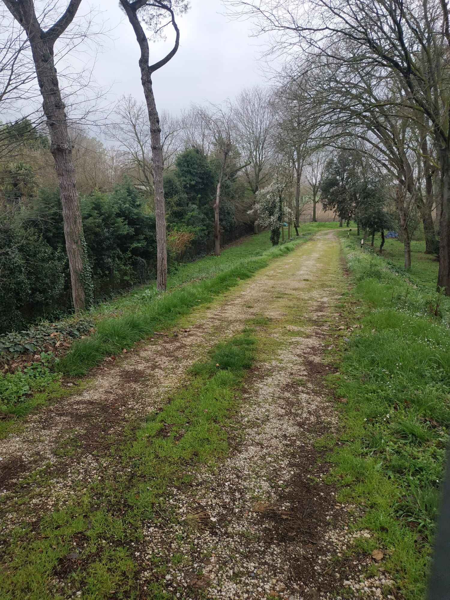 Rustico / Casale in Vendita Ravenna
