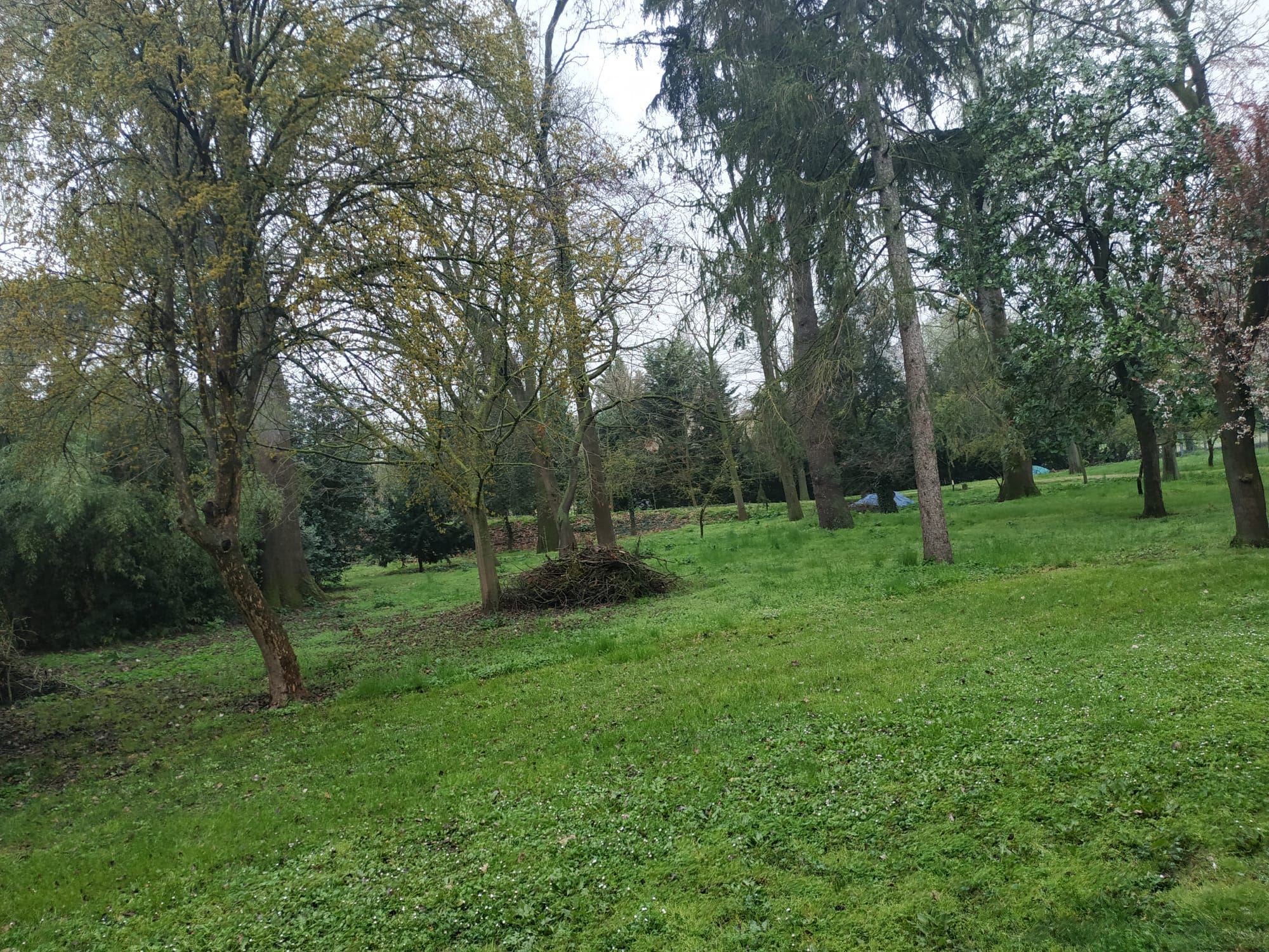 Rustico / Casale in Vendita Ravenna